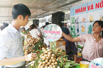 Big C kết nối tiêu thụ nhãn Hưng Yên