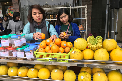 Mở rộng hợp tác tiêu thụ nông sản cho nông dân Hà Nội
