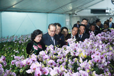 Phái đoàn cấp cao nhà nước Triều Tiên thăm Hợp tác xã Đan Hoài