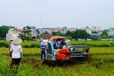 Phú Xuyên sẽ có thêm 4 xã nông thôn mới năm 2018
