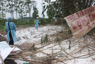 Hà Nội: Phát hiện ổ dịch tả lợn châu Phi tại huyện Thường Tín