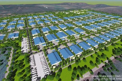 Đầu tư xây dựng, kinh doanh kết cấu hạ tầng KCN Nam Pleiku, tỉnh Gia Lai