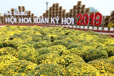 Tết Kỷ Hợi, Sun Group dành tặng Đà Nẵng đường hoa đẹp ngoạn mục bên sông Hàn