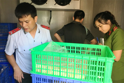 Hà Nội: Yêu cầu cung cấp hồ sơ về 330kg sản phẩm từ gà