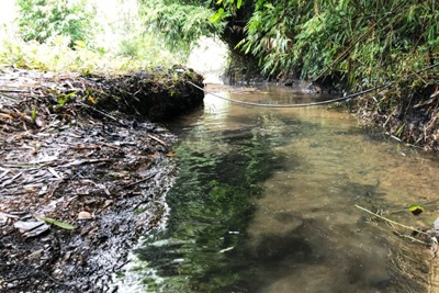 Vụ nước sạch sông Đà nhiễm dầu: Viwasupco phải chịu trách nhiệm kiểm định chất lượng nguồn nước