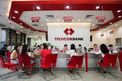 “Xin” cổ đông giữ lại cổ tức suốt 8 năm, Techcombank thu được những gì?