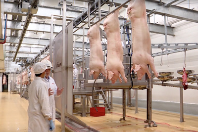 Bình ổn giá thịt lợn: Cần sự phối hợp của nhiều doanh nghiệp