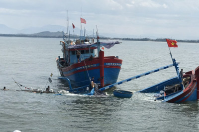 Quảng Ngãi: Cứu kịp thời 8 người bị nạn trên biển