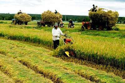 Tổ chức Hội nghị toàn quốc sơ kết 5 năm tái cơ cấu nông nghiệp vào tháng 10/2018