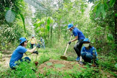 Hỗ trợ bổ sung gạo cho công tác bảo vệ rừng tỉnh Nghệ An