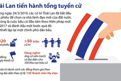 [Infographics] Toàn cảnh cuộc tổng tuyển cử ở Thái Lan