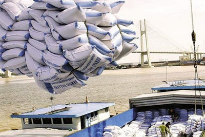Thủ tướng yêu cầu báo cáo việc doanh nghiệp mở tờ khai xuất gạo