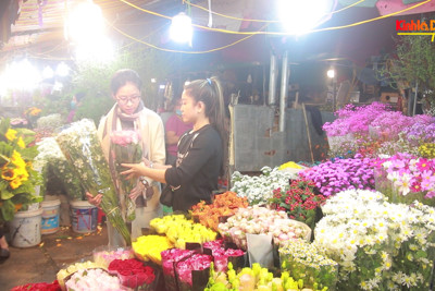 [Phóng sự] - Hà Nội vào đông, đừng bỏ qua trải nghiệm đi chợ hoa Quảng Bá