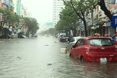 Vì sao Đà Nẵng chịu trận ngập lịch sử?