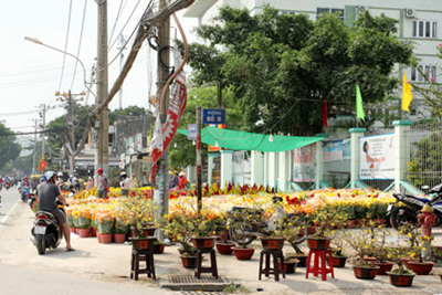 TP Hồ Chí Minh: Chợ hoa ế ẩm ngày 30 Tết