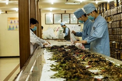 Việt Nam không có thuốc đông y làm từ thịt người