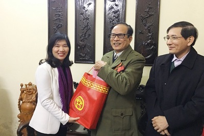 Phó Chủ tịch HĐND TP Phùng Thị Hồng Hà chúc Tết các gia đình chính sách quận Ba Đình