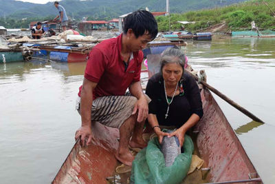 Sắp công bố thương hiệu Tôm sông Đà Hòa Bình, Cá sông Đà Hòa Bình