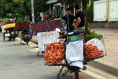 Nghiên cứu phản ánh về lao động phi chính thức