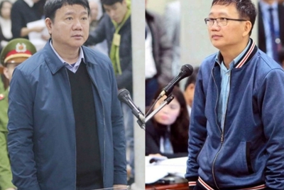 Bị cáo Trịnh Xuân Thanh kháng cáo xin xem xét lại tội danh
