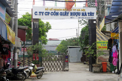 Tại xã Tam Hiệp, huyện Phúc Thọ: Doanh nghiệp xả thải gây ô nhiễm môi trường