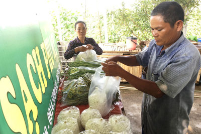 Đậu đũa, ớt chỉ thiên... xuất ngoại