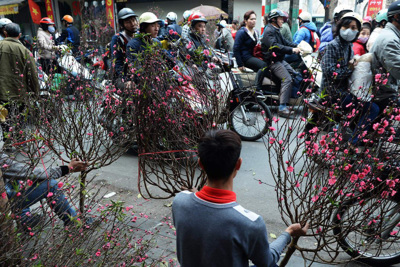 Chợ hoa Quảng Bá, Hà Nội vào top những điểm chơi Tết nổi bật