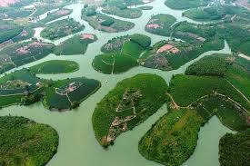 Ốc đảo chè độc nhất Việt Nam nhìn từ camera bay