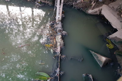 Hà Nội: Tách nước thải để xử lý ô nhiễm hồ tận gốc