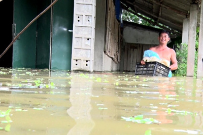 Hà Nội: Hàng trăm hộ dân huyện Chương Mỹ lao đao vì mưa lũ