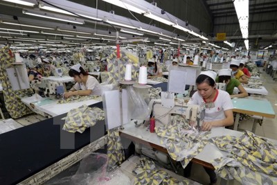Các doanh nghiệp xuất khẩu sẽ hưởng lợi khi Việt Nam tham gia TPP