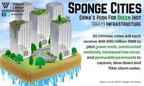 Sponge City - mô hình đô thị sinh thái tương lai