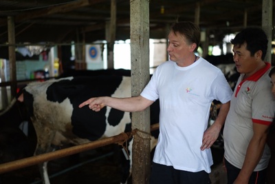 Nông dân Việt Nam tập huấn kỹ thuật nuôi bò với nông dân Hà Lan
