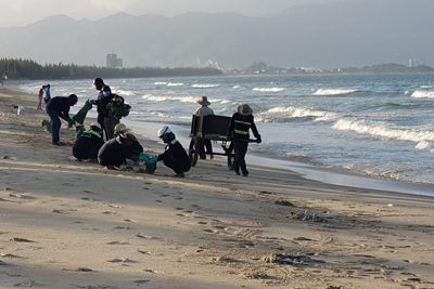 Kiểm tra nguyên nhân cá chết dạt vào bờ biển Đà Nẵng