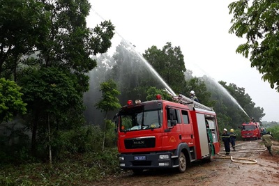 Ba Vì đa dạng các hình thức bảo vệ rừng