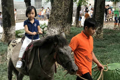 Du khách cưỡi ngựa, vuốt chim công ở Vườn thú Hà Nội