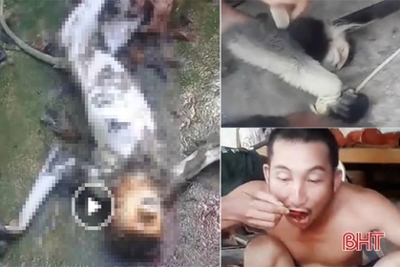 Kinh hãi nhóm người giết khỉ ăn óc sống rồi phát trực tiếp lên facebook