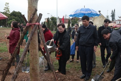 Chủ tịch HĐND TP Nguyễn Thị Bích Ngọc dự lễ phát động Tết trồng cây tại thị xã Sơn Tây