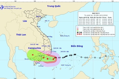 Bão số 9 chệch hướng xuống phía Nam, TP Hồ Chí Minh sẽ có mưa tới 250mm