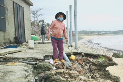Quảng Ngãi: Sạt lở tấn công làng biển
