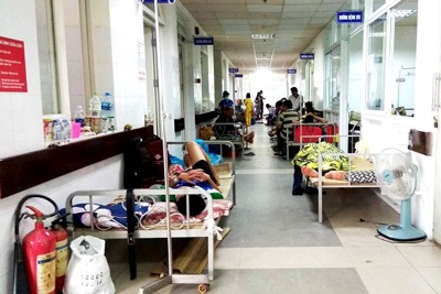 Bệnh viện Đà Nẵng quá tải do sốt xuất huyết bùng phát