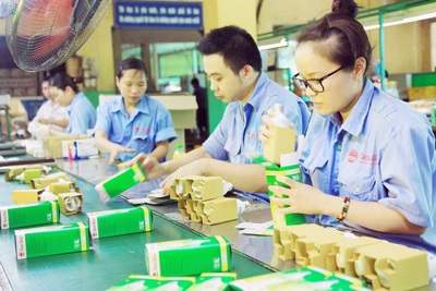 Doanh nghiệp Việt vào cuộc chơi toàn cầu, vẫn “đòi” chính sách riêng