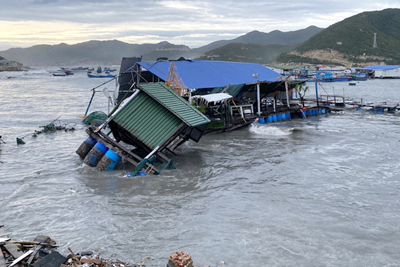 Khánh Hòa: Hơn trăm bè du lịch và nuôi tôm hùm bị ảnh hưởng bão Rai, thiệt hại khoảng 200 tỷ đồng