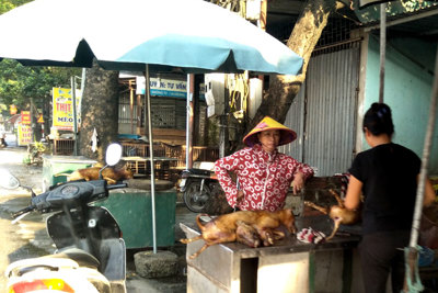 Khuyến khích người dân không ăn thịt chó - Bài 1: Một thời những làng chuyên kinh doanh thịt chó