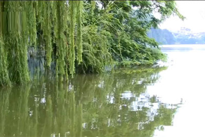 Hà Nội: Ao hồ bị san lấp góp phần tăng ngập úng