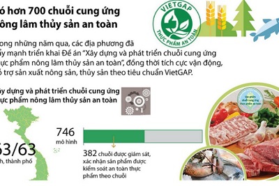 [Infographics] Hơn 700 chuỗi cung ứng nông lâm thủy sản an toàn
