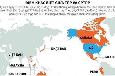 [Infographics] Những điểm khác biệt giữa TPP và CPTPP