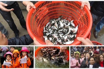 Hàng nghìn người chuyền tay thả 5 tấn cá trong lễ phóng sinh lớn nhất Hà Nội