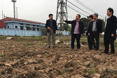 Phó Chủ tịch Nguyễn Văn Sửu kiểm tra sản xuất tại huyện Thanh Oai