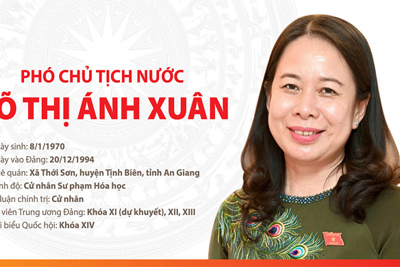 [Infographic] Chân dung tân Phó Chủ tịch nước Võ Thị Ánh Xuân